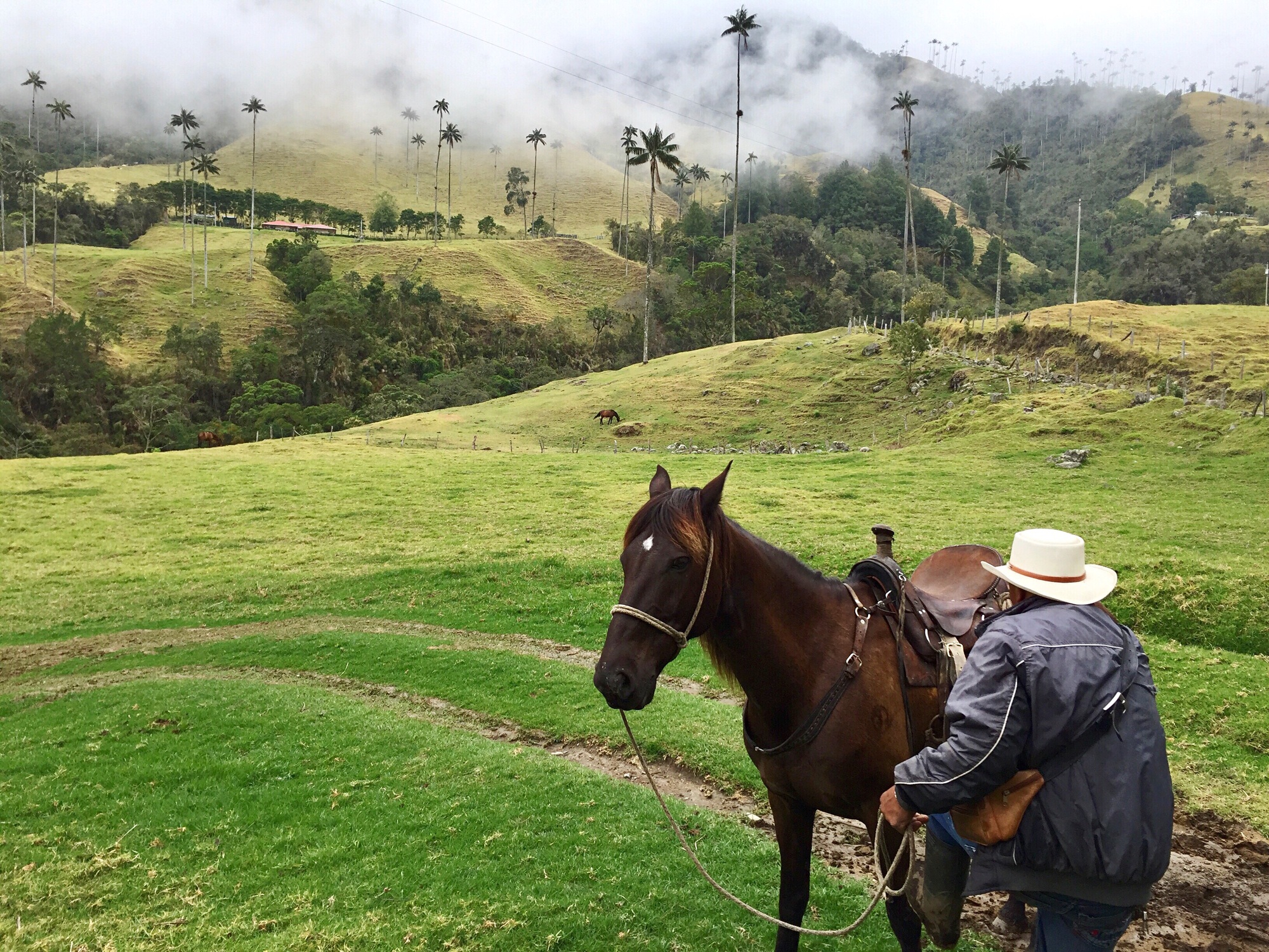 Manizales